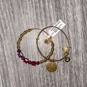 Alex and Ani Sparkly Pendent Set
